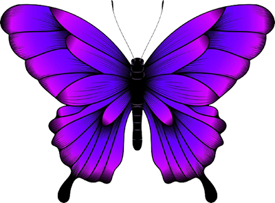 Butterfly Release